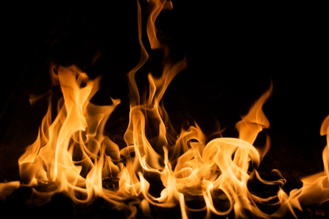 Gas Pizza Oven or Wood Fired – Which is Best?