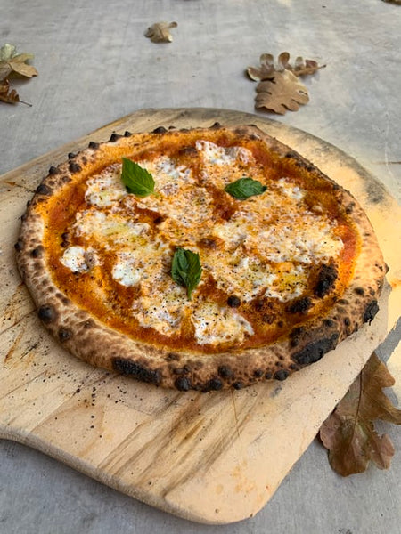 2021 best pizza ovens for outdoors